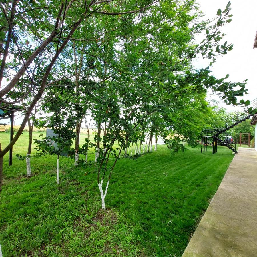 Villa Romelia - Select Apartments Vadu Ngoại thất bức ảnh
